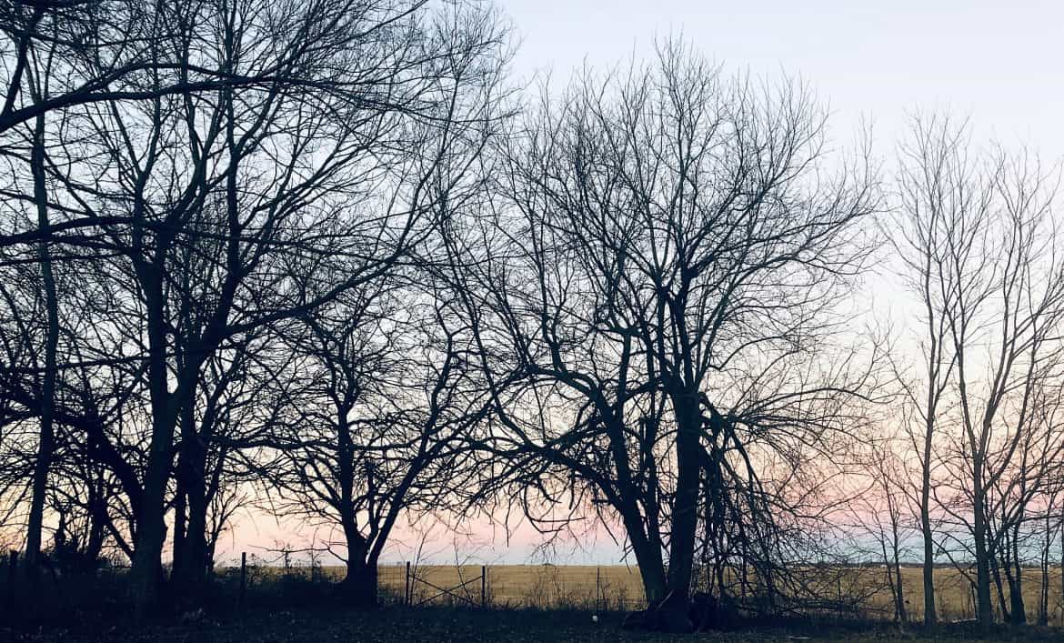 Winter season, God's purpose for the Winters of Life